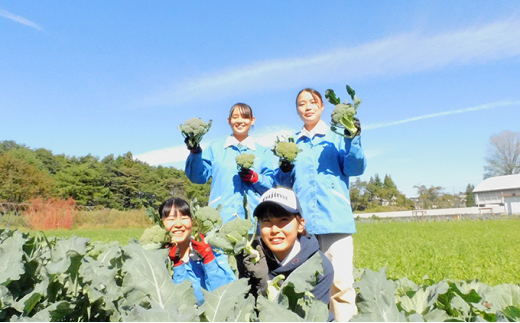 富士見高校の生徒が作った高冷地野菜の詰め合わせセット（1箱）