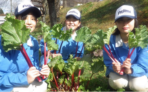 富士見高校の生徒が作った高冷地野菜の詰め合わせセット（1箱）