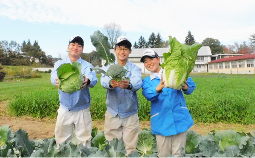 富士見高校の生徒が作った高冷地野菜の詰め合わせセット（1箱）