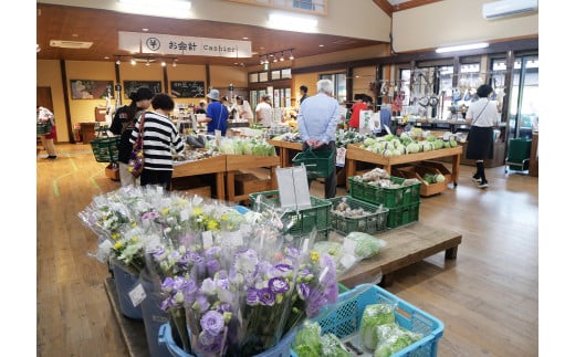 遠野風の丘 季節の 野菜セット（5種類以上） / 道の駅遠野風の丘 産直 直送 旬 厳選 遠野産