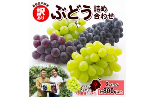 訳あり ぶどう 房 2種以上 食べ比べセット 2パック(計800g以上) 中野市 信州丸幸農園【1525235】