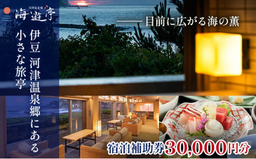 海遊亭【30,000円】宿泊補助券 河津温泉 オーシャンビュー 河津 河津町 静岡 伊豆 宿泊券 旅館 旅行 観光 温泉 国内旅行 [№5227-0445]