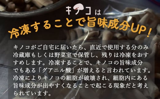 定期便 3回 連続 洗わず使える 農薬不使用 雲仙きのこセット (4品目/回) [吉岡青果 長崎県 雲仙市 item1305] 