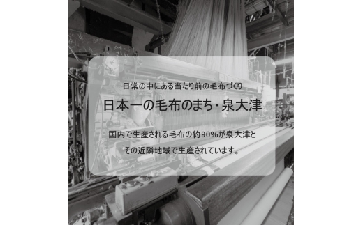 ベビー綿毛布 (毛羽部分) アッシュグリーン 毛布の町泉大津産 [3457] 贈答品 ギフト 誕生日プレゼント 贈り物 クリスマス ベビー キッズ N-MM100