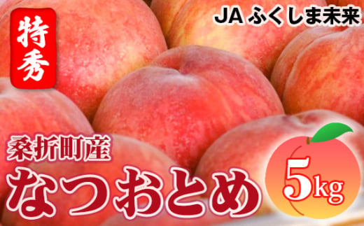 No.174 もも（なつおとめ）特秀　5kg　桑折町産　JAふくしま未来　桃 ／ 果物 フルーツ モモ 福島県 特産品