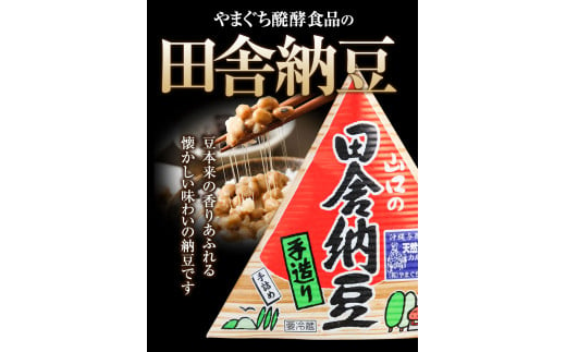 北海道十勝産大豆 やまぐち醗酵食品「田舎三角納豆」70g×15個セット 《30日以内に出荷予定(土日祝除く)》有限会社 やまぐち醗酵食品 送料無料 国産納豆 朝食 健康 詰合せ お取り寄せ ギフト ご飯のお供 北海道 本別町 冷凍