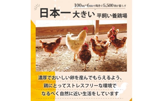 のびのび育ちの平飼い有精卵 30個 （10個入×3P） 平飼い 有精卵 たまご 卵 玉子 タマゴ 鶏卵 オムレツ 卵かけご飯 たまご焼き 国産 すき焼き 三重県 多気町 JK-03