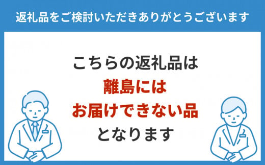 プレチューンナップ（お引き取り専用）※新品板専用のコースです。