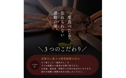 【年明け出荷】茹で越前ガニ【期間限定】食通もうなる本場の味をぜひ、ご堪能ください。約1.3kg以上 越前がに 越前かに 越前カニ カニ ボイルガニ[№5580-0914]