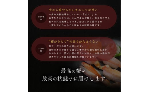 【年明け出荷】茹で越前ガニ【期間限定】食通もうなる本場の味をぜひ、ご堪能ください。約1.3kg以上 越前がに 越前かに 越前カニ カニ ボイルガニ[№5580-0914]