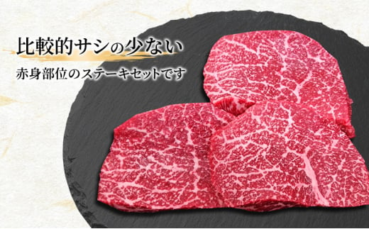 飛騨牛 もも肉 ステーキ 赤身 焼肉 200g×3枚 計600g A5 和牛 モモ肉 【岐阜県瑞穂市】[№5787-0981]