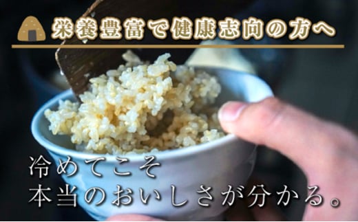 【令和6年産】【定期便／全12回】玄米3kg　新潟県魚沼産コシヒカリ「山清水米」十日町市 米