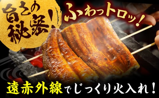 刻み鰻個食パック 計1kg（100g×10P） 広川町 / イールファクトリー株式会社 [AFBS001]