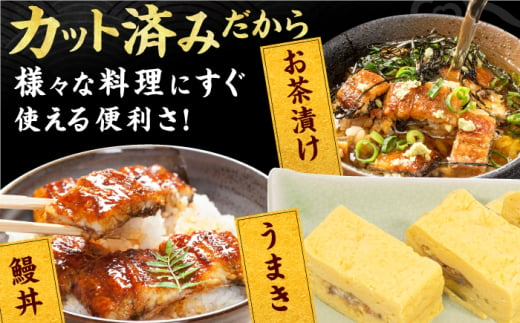 刻み鰻個食パック 計1kg（100g×10P） 広川町 / イールファクトリー株式会社 [AFBS001]