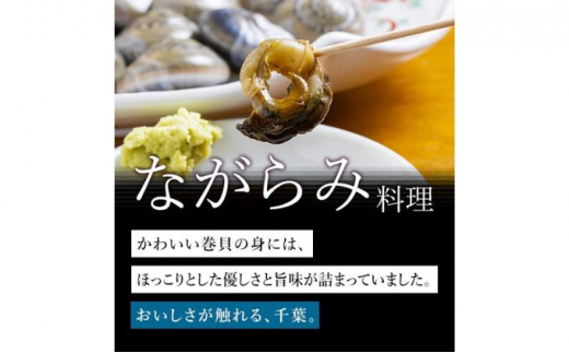 ♯定期便6か月毎月届く　食べたら止まらないやつ九十九里浜の“ながらみ“2kg入り [№5743-0289]