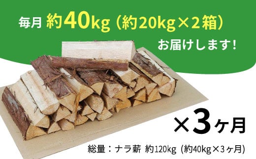 【3月発送開始】 定期便 全3回 なら薪 中～大割 約40kg ( 約20kg×2箱 ) 計120kg 3回 3ヶ月 中割 大割 薪ストーブ アウトドア キャンプ 焚火 暖炉 楢 ナラ 薪 まき 雑貨 日用品 定期便 定期 選べる 発送月 毎月届く 森林 木 木材 東白川村 54000円