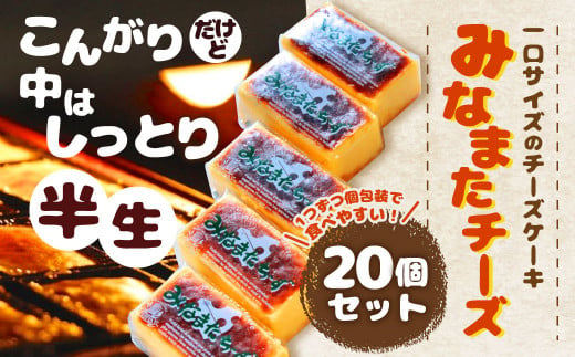 みなまた チーズ 計800g (40g×20個) ケーキ お菓子 冷凍