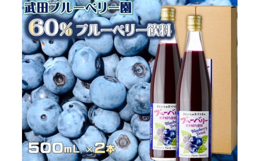 60％ブルーベリー果汁入り飲料 2本セット【V002110】