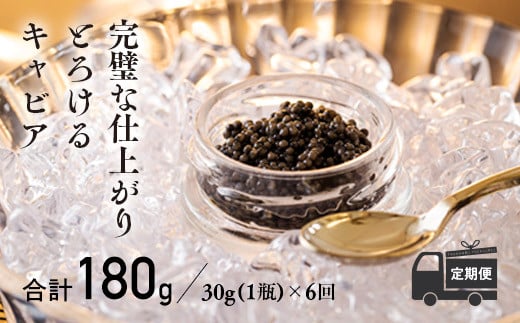 【定期便 6ヶ月】THE・CAVIAR（ザ・キャビア）30g TF0492-P00066