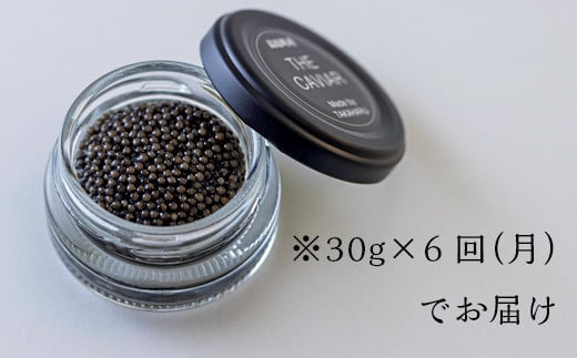 【定期便 6ヶ月】THE・CAVIAR（ザ・キャビア）30g TF0492-P00066