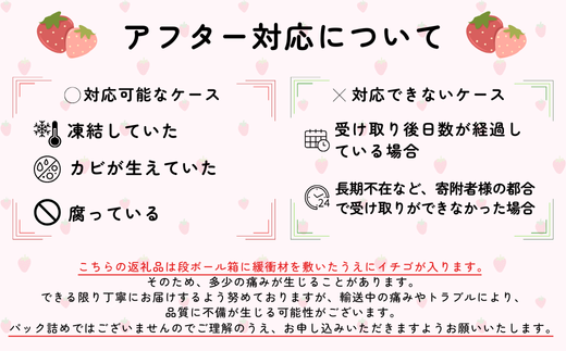 埼玉生まれの希少いちご『かおりん』80～30粒入り（1000g以上）