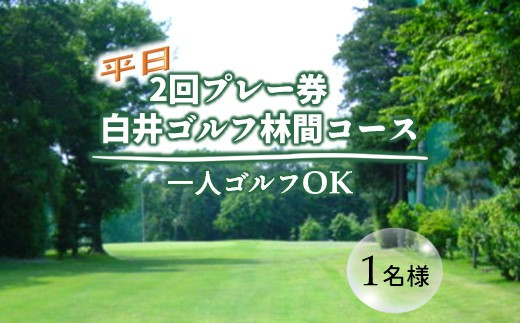 白井ゴルフ林間ショートコース 平日2回プレー券 1名様