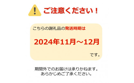 【2024年11月～12月発送】蜜入りだけ厳選！蜜入サンふじりんご3kg_H126(R6)