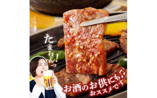 宮崎牛タレ漬け焼肉用900g N061-YZB302