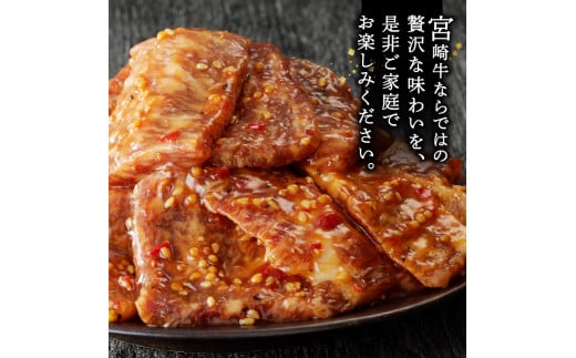 宮崎牛タレ漬け焼肉用900g N061-YZB302