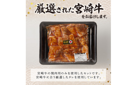 宮崎牛タレ漬け焼肉用900g N061-YZB302