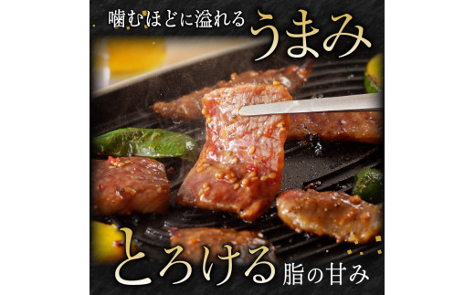 宮崎牛タレ漬け焼肉用900g N061-YZB302