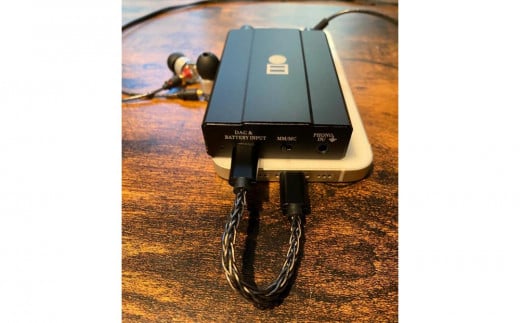 ポータブルアンプ Amazon.co.jp: ラトックシステム DSD対応 DAC内蔵フルバランス
