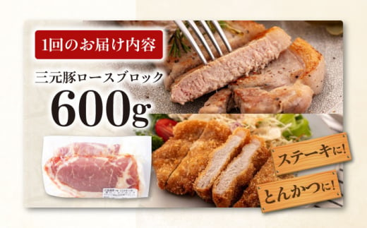 肉 豚肉 ロース ブロック ローストポーク 煮豚 酢豚 煮物 冷凍配送