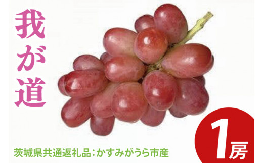 我が道 1房（茨城県共通返礼品：かすみがうら市産）　※2024年9月初旬～2024年10月下旬頃に順次発送予定（CD031）