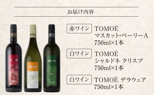 【お歳暮対象】～TOMOE 厳選3種～おすすめ飲み比べ3種セット ワイン 受賞 飲み比べ ワインセット ギフト 三次市/広島三次ワイナリー[APAZ027]