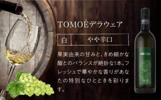 【お歳暮対象】～TOMOE 厳選3種～おすすめ飲み比べ3種セット ワイン 受賞 飲み比べ ワインセット ギフト 三次市/広島三次ワイナリー[APAZ027]