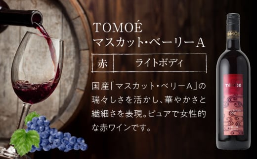 【お歳暮対象】～TOMOE 厳選3種～おすすめ飲み比べ3種セット ワイン 受賞 飲み比べ ワインセット ギフト 三次市/広島三次ワイナリー[APAZ027]