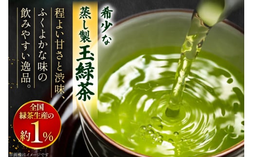 お茶 緑茶 そのぎ茶 極上 さえみどり100g×2袋入り [西海園(お茶