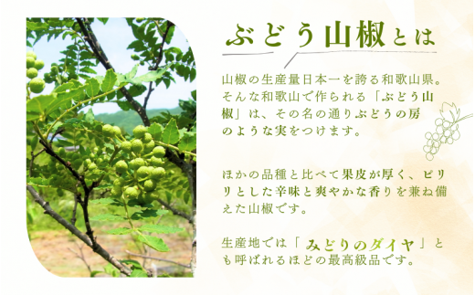  冷凍ぶどう山椒（初期から中期品）250g / 山椒 さんしょう ぶどう山椒 ぶどうさんしょう 香辛料 薬味 調味料 生山椒 和歌山県 紀美野町 生実山椒【twn021】