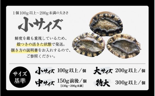 日本海若狭湾の 天然 活黒アワビ 計400g (2～4個) 小サイズ 鮮度抜群  刺身 お造り バター焼き BBQ 入手困難 あわび アワビ 鮑 クロアワビ 黒あわび [m17-d005]