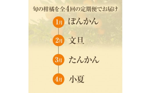 【先行予約 訳あり】 オレンジ園の柑橘4種（ぽんかん・文旦・タンカン・小夏）各5kg 4回定期便 ポンカン ぶんたん 果物 蜜柑 みかん ミカン 柑橘 フルーツ デザート 常温 配送【J00100】