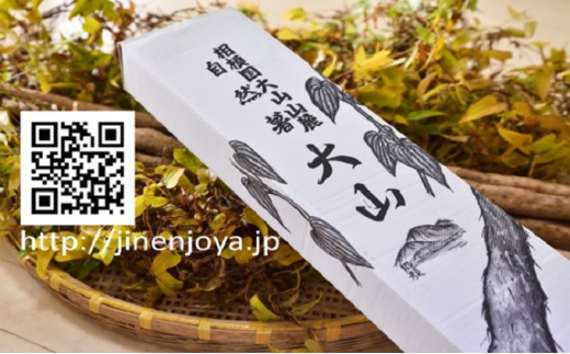 自然薯1kg×10セット 自然薯家 丹沢大山山麓産「自然薯」山菜の王様､極上の逸品 [0207]