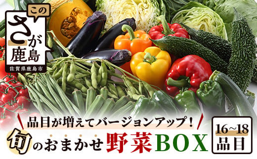 【バージョンアップ】旬のおまかせ野菜BOXセット【16～18品目お届け】 冷蔵配送【 野菜 果物 旬 セット 詰め合わせ 】B-690