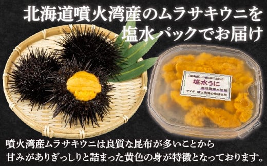 【令和7年度発送先行予約】うに 塩水 ムラサキウニ 80g 北海道 豊浦 噴火湾 雲丹【配送不可地域：離島】 【 ふるさと納税 人気 おすすめ ランキング 魚介類 うに ウニ 雲丹 むらさきうに ムラサキウニ おいしい 美味しい あまい 新鮮 北海道 豊浦町 送料無料 】 TYUR020