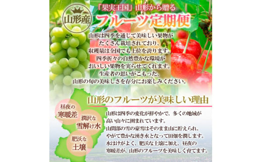 【定期便5回】山形果実の食べきり[乙女の定期便B] 【令和7年産先行予約】FU22-949 フルーツ定期便 くだもの 果物 すもも 秋姫 なし 梨 洋梨 洋なし ラ・フランス ラフランス 和梨 あきづき りんご 林檎 ふじ いちご 苺 山形 山形県 山形市 2025年産