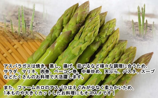 北海道産 グリーン ＆ ホワイト アスパラ 計 1kg 北海道 グリーンアスパラ ホワイトアスパラ 旬 新鮮 食べ比べ 