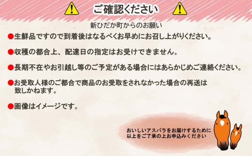 北海道産 グリーン ＆ ホワイト アスパラ 計 1kg 北海道 グリーンアスパラ ホワイトアスパラ 旬 新鮮 食べ比べ 