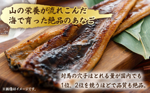 【全3回定期便】骨まで食べる 白焼き あなご (5袋)《対馬市》【うえはら株式会社】穴子 白焼 海鮮 国産 フワフワ 魚介 特産物 [WAI075]