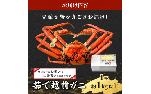 茹で 越前ガニ 約1kg以上 1杯 年末配送 食通もうなる本場の味をぜひ、ご堪能ください 越前かに 蟹 カニ かに ボイルカニ ボイル蟹 ポーション ズワイガニ ずわい蟹 海鮮 福井 福井県 若狭町 [№5580-0589]