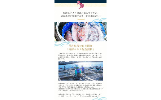 岩谷水産 紀州梅まだい しゃぶしゃぶセット / 鯛 真鯛 鯛しゃぶ 梅真鯛 魚貝 海鮮【iws204】